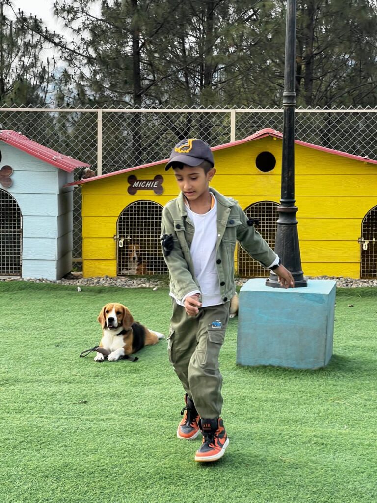 Encouraging an Active Lifestyle