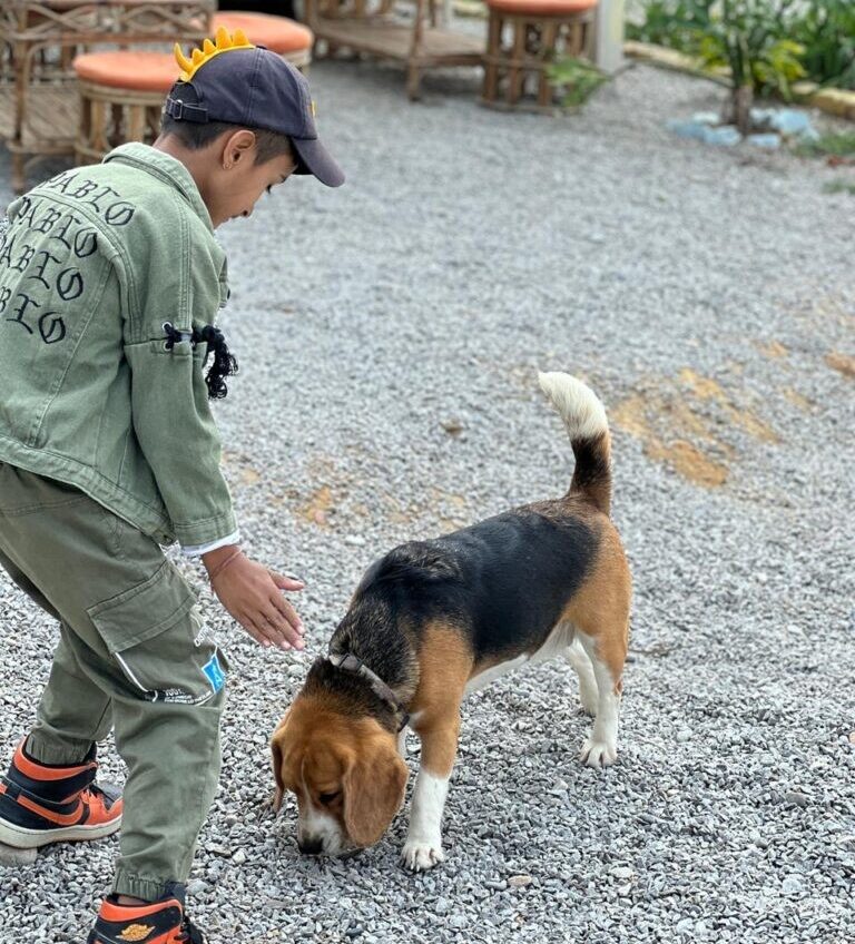 The Science of Happiness