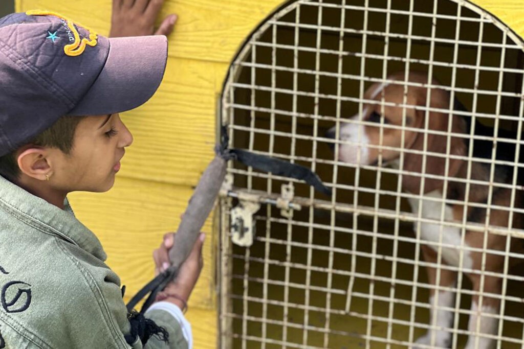 Boosting Mental Health