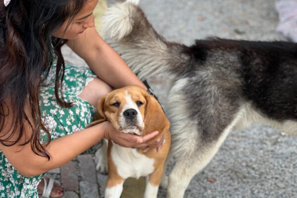 Encouraging an Active Lifestyle